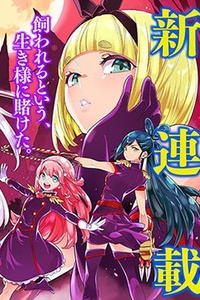 Mato Seihei No Slave